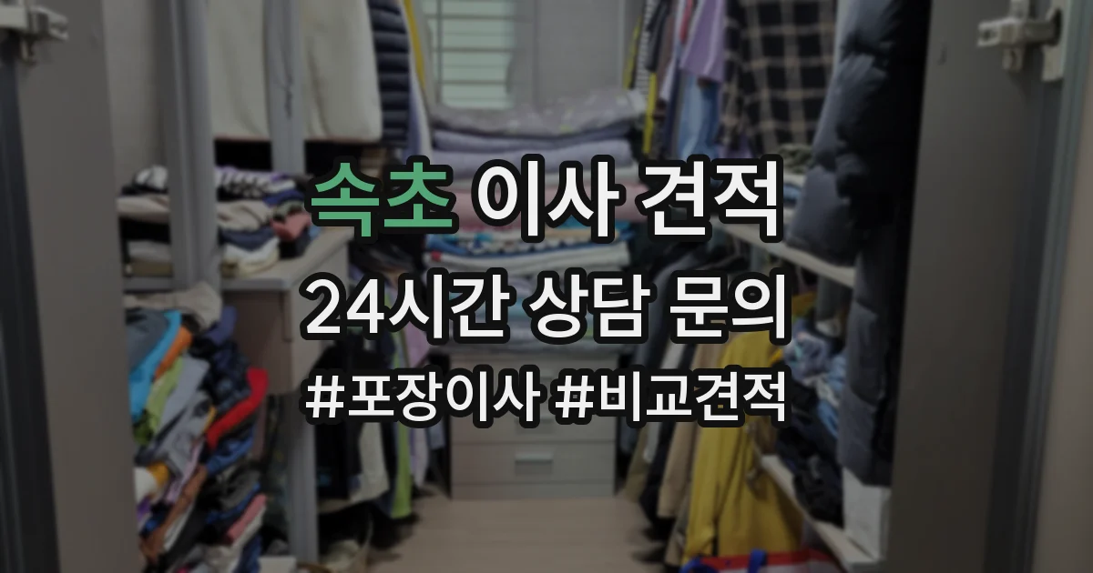속초 이사 견적