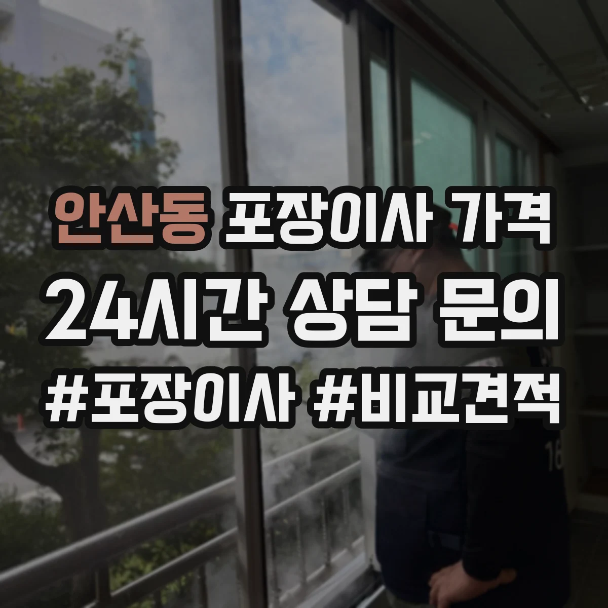 안산동 포장이사 가격