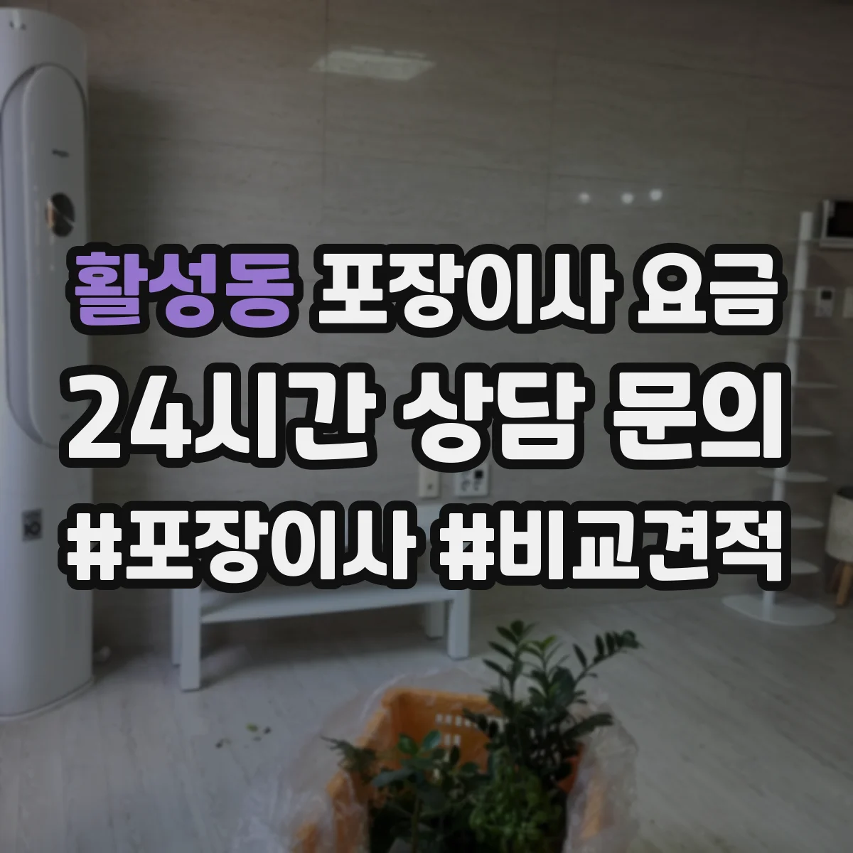 활성동 포장이사 요금