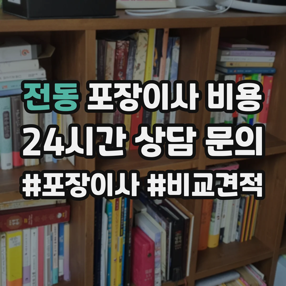 전동 포장이사 비용