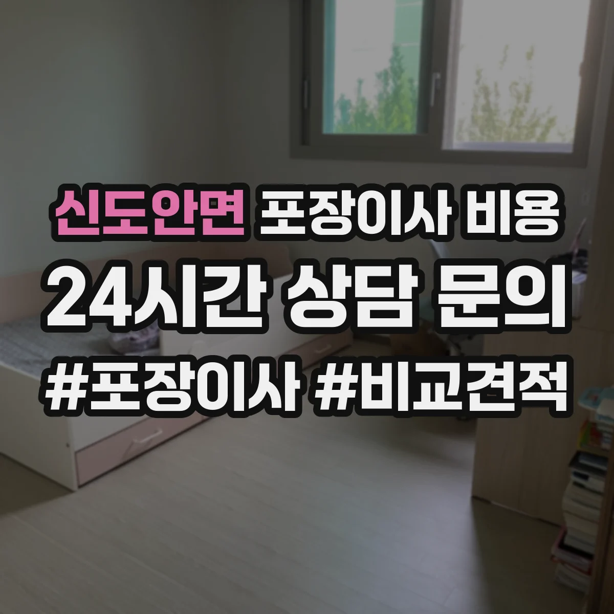 신도안면 포장이사 비용