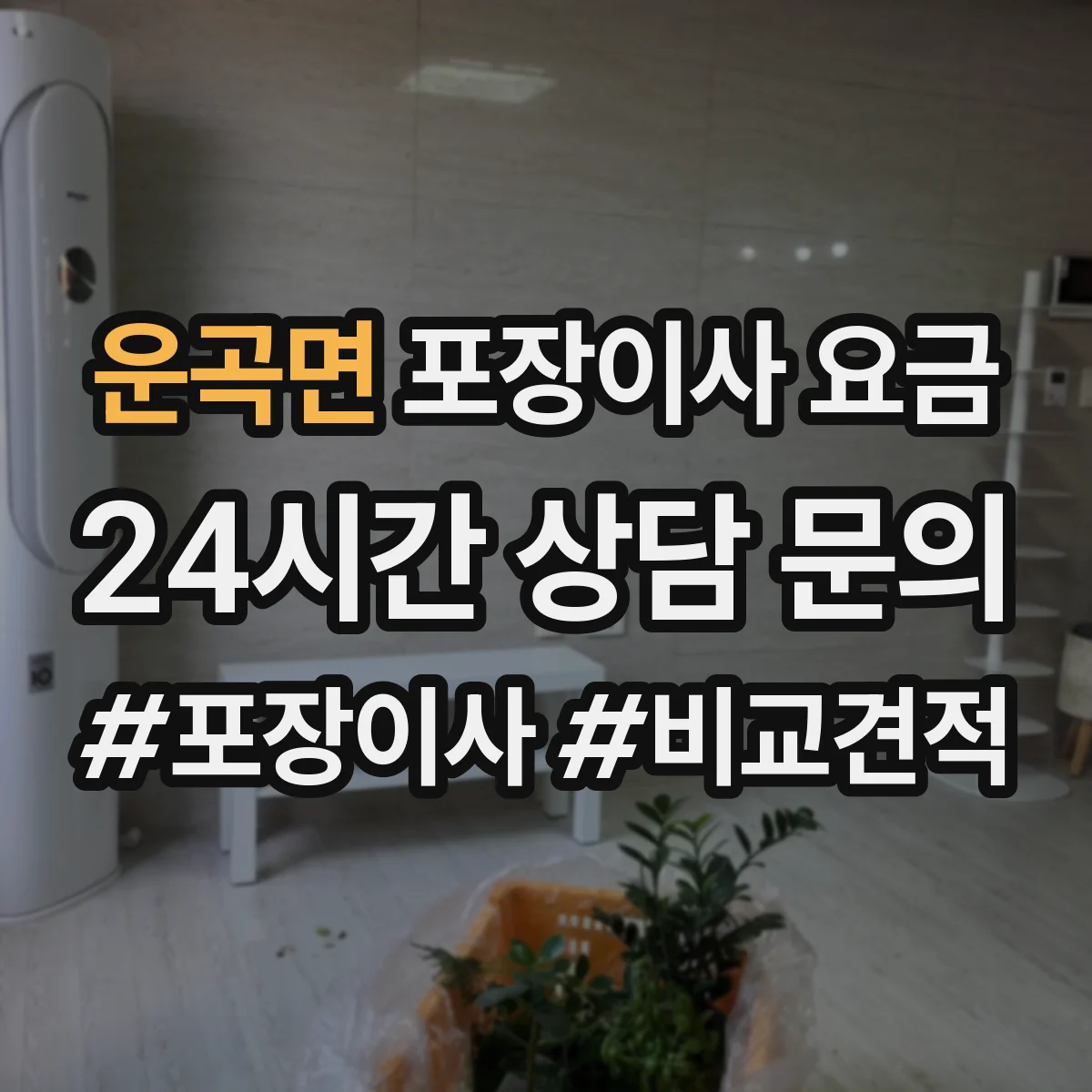 운곡면 포장이사 요금