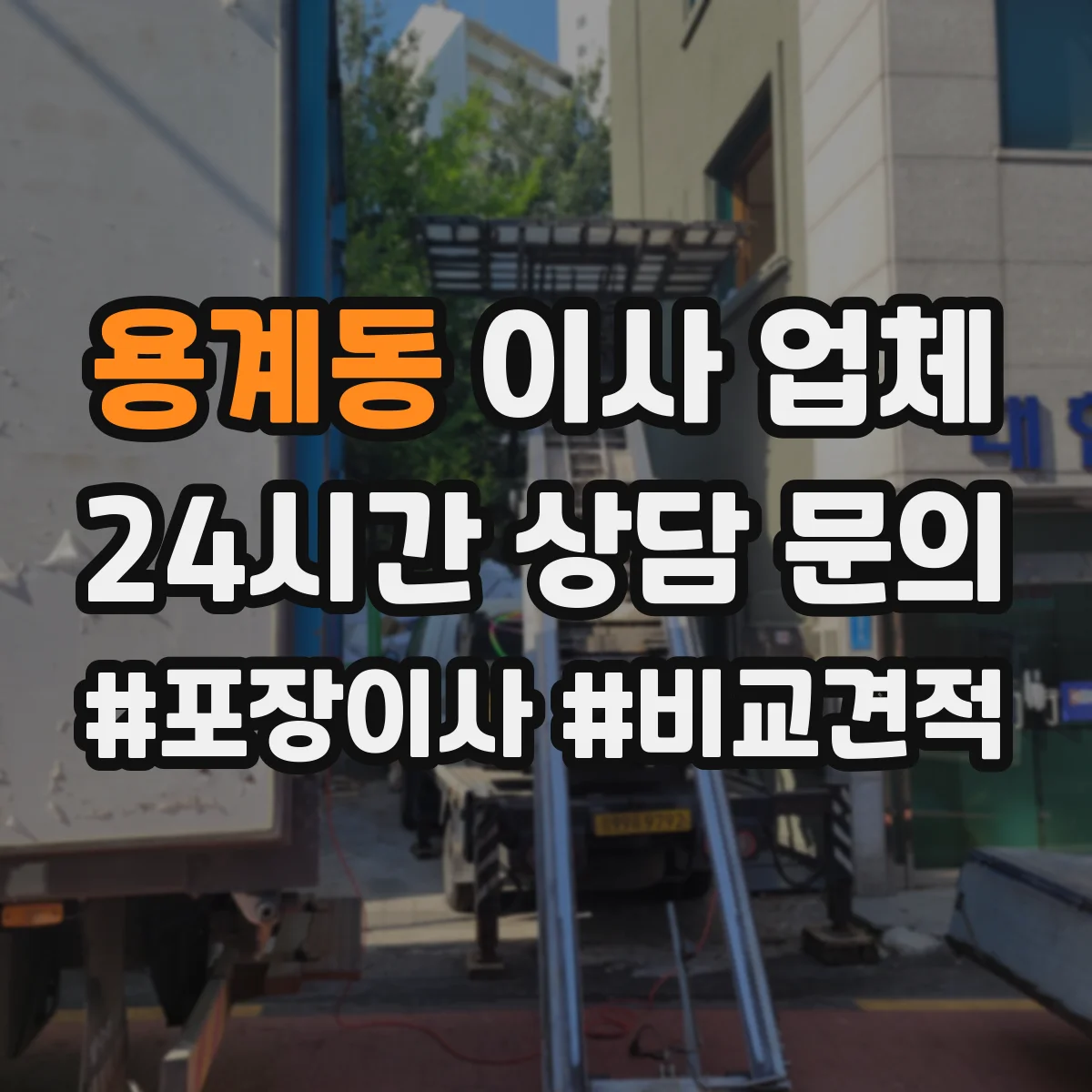 용계동 이사 업체