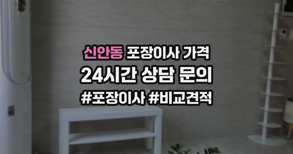 신안동 포장이사 가격