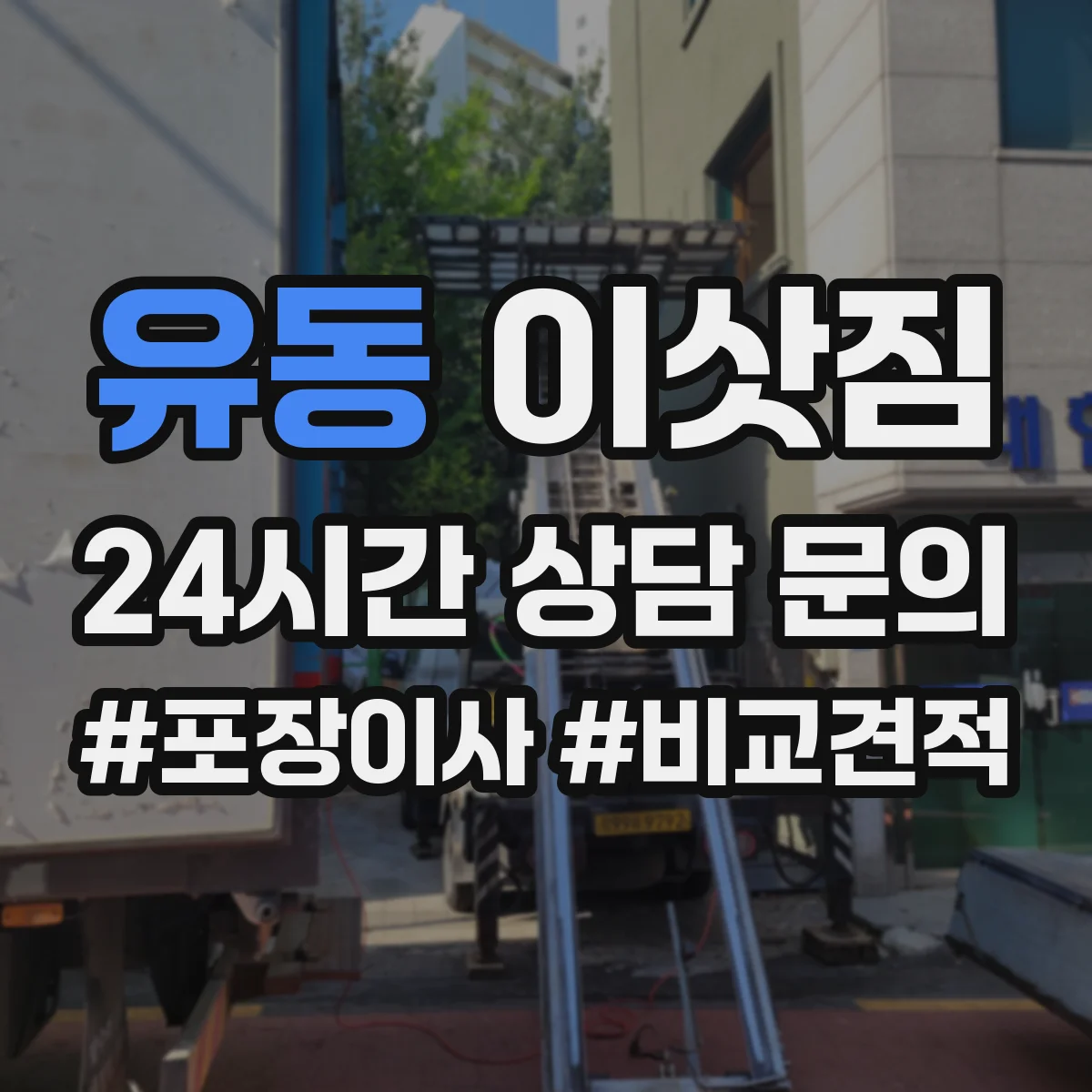 유동 이삿짐