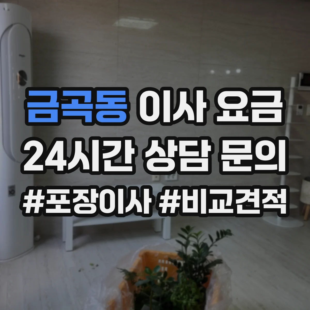 금곡동 이사 요금