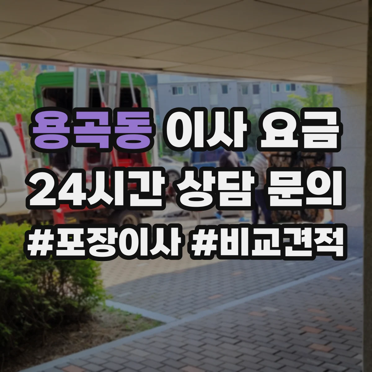 용곡동 이사 요금