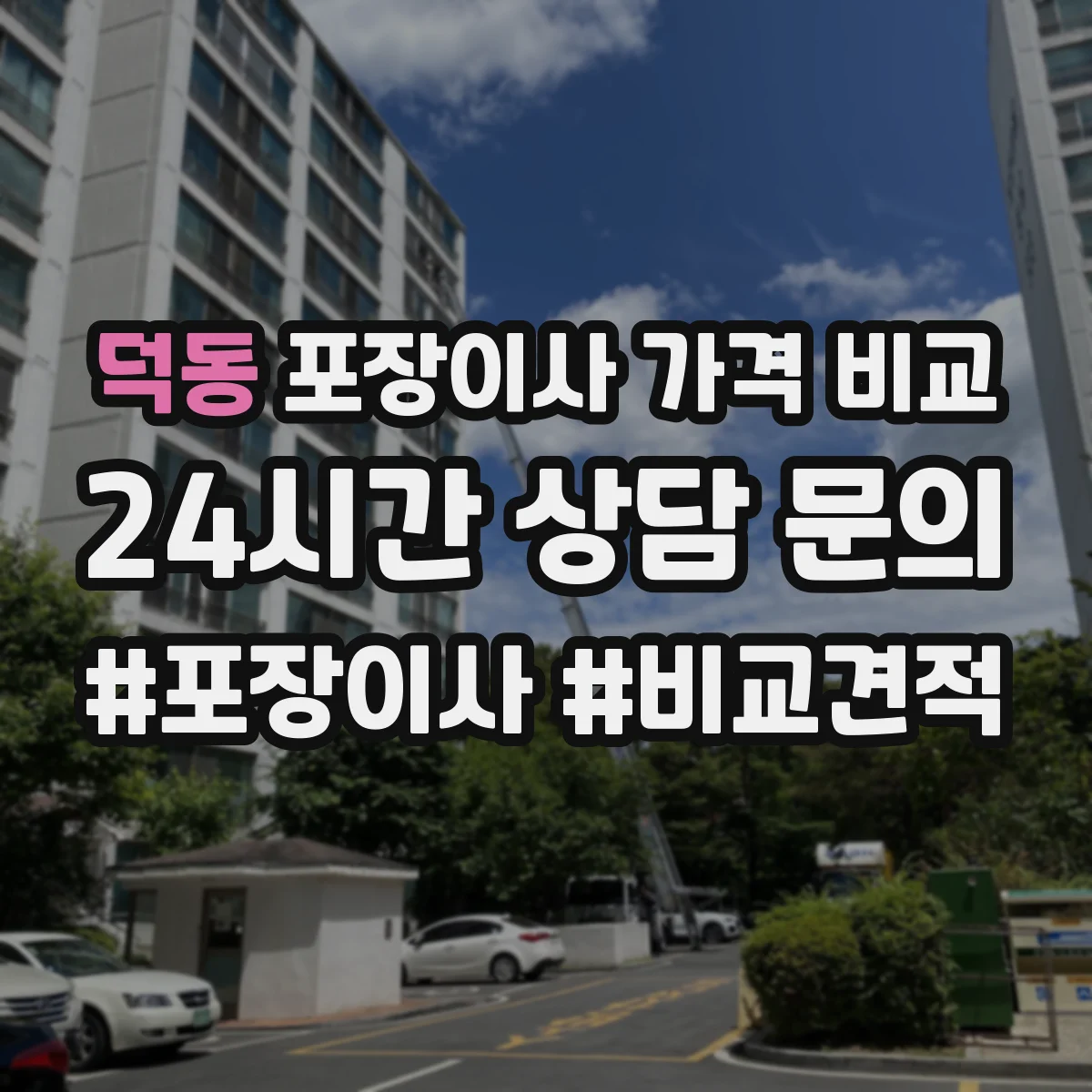 덕동 포장이사 가격 비교