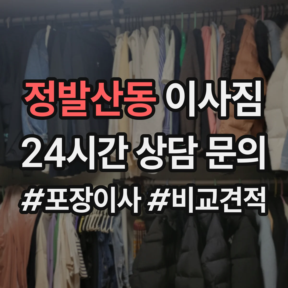 정발산동 이사짐