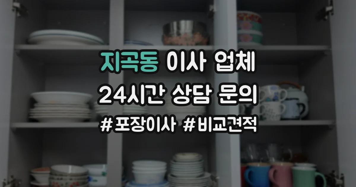 지곡동 이사 업체