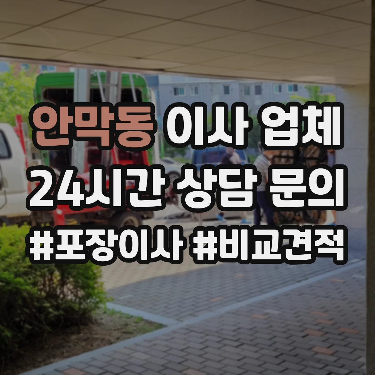 안막동 이사 업체