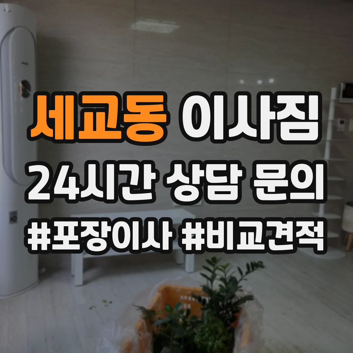 세교동 이사짐