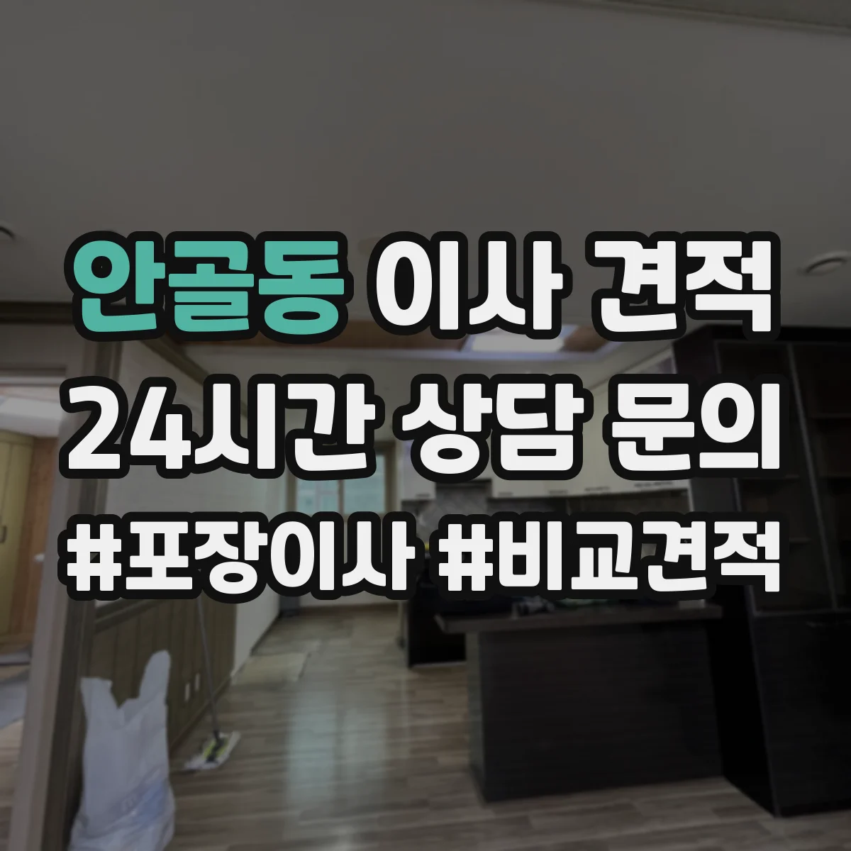 안골동 이사 견적