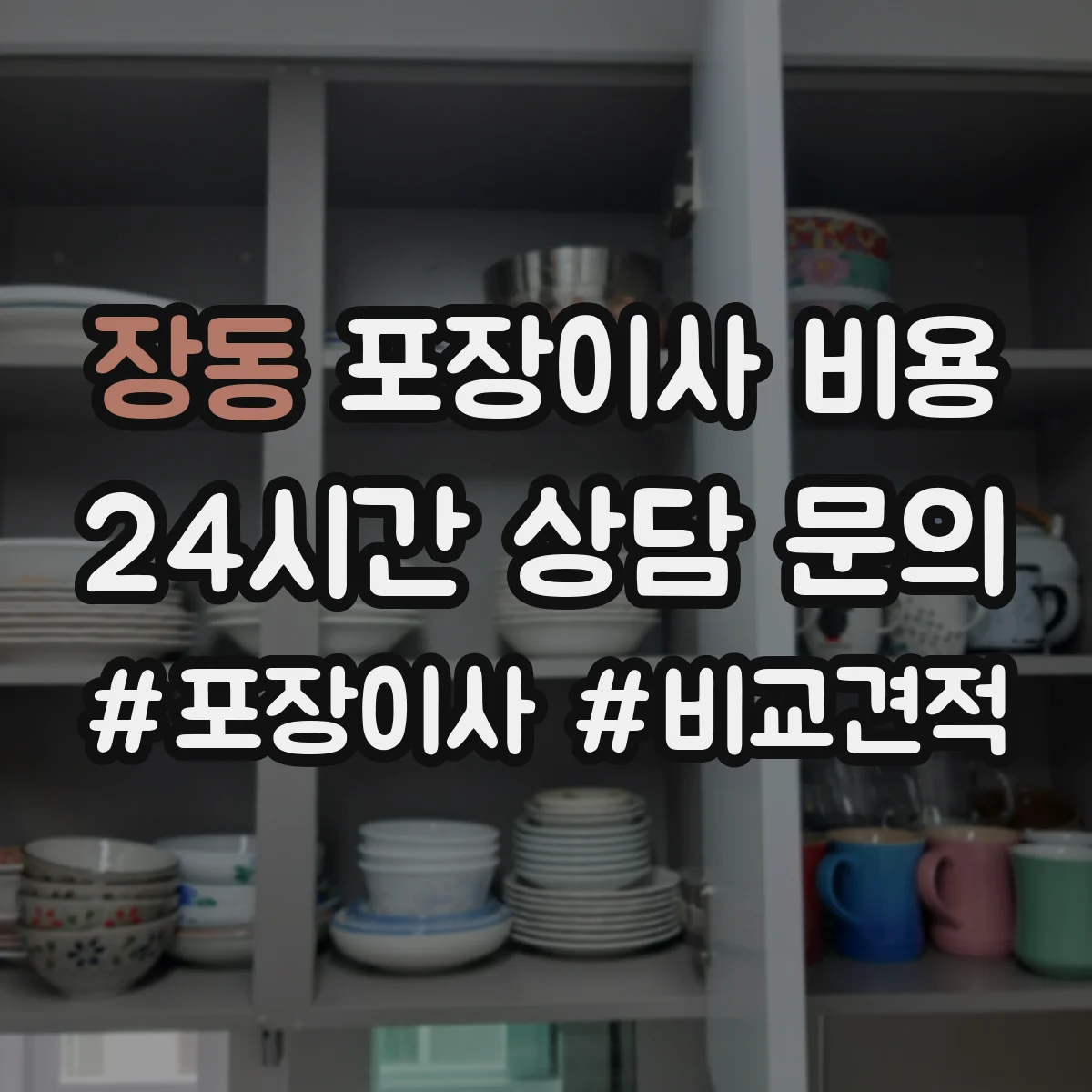 장동 포장이사 비용