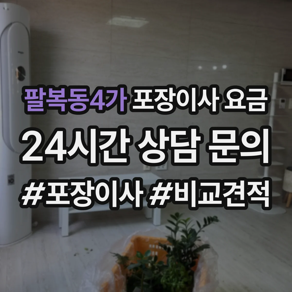 팔복동4가 포장이사 요금