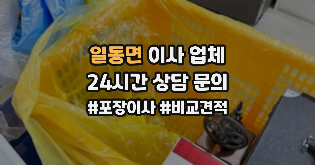 일동면 이사 업체