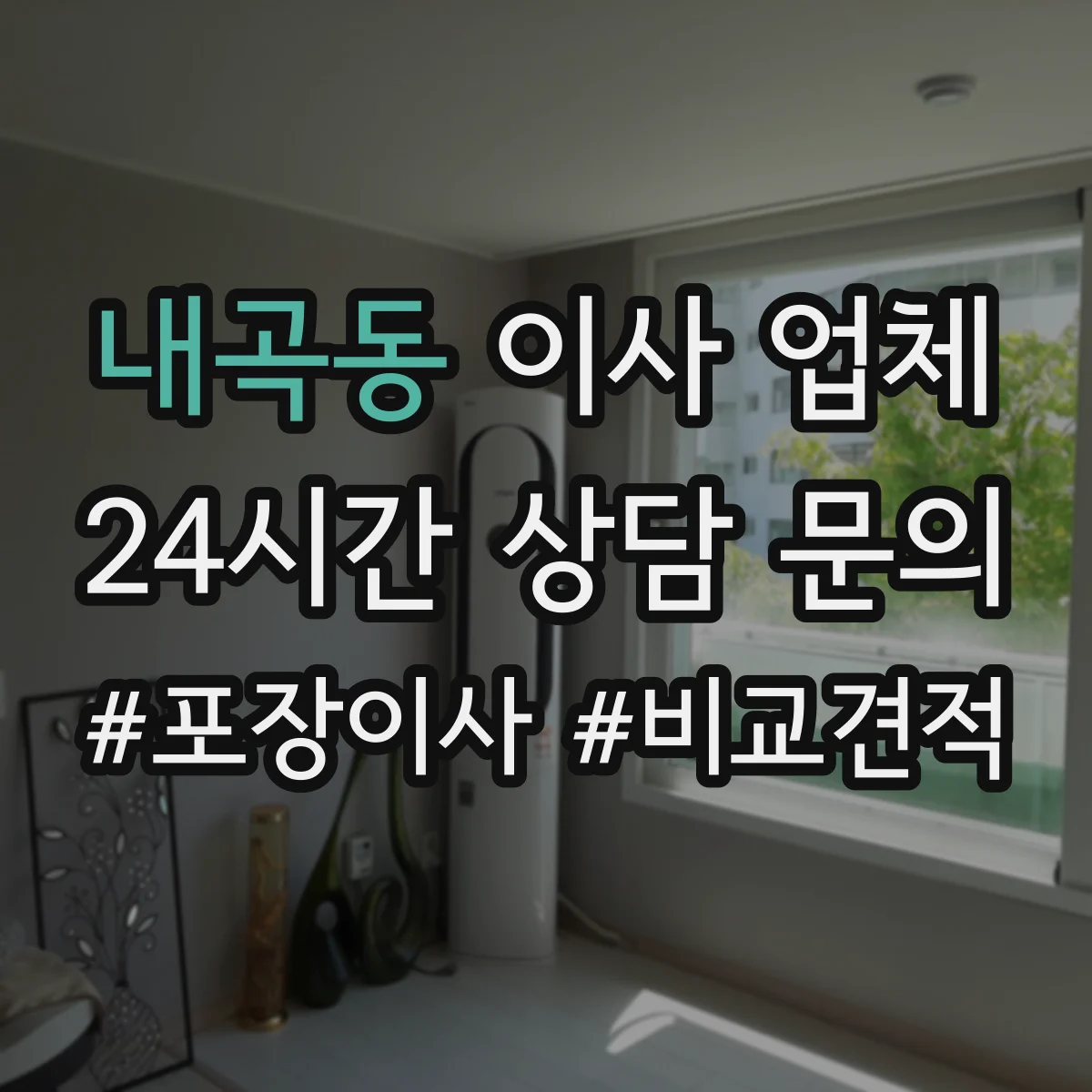 내곡동 이사 업체