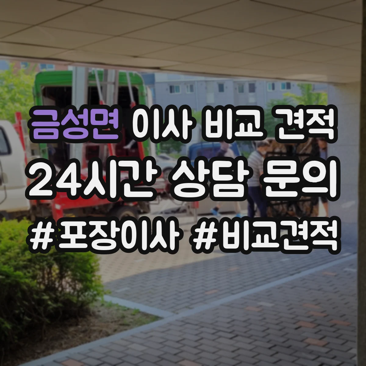 금성면 이사 비교 견적