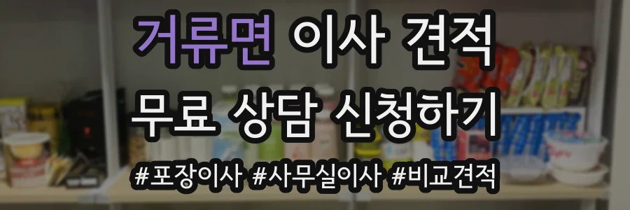 거류면 이사 견적