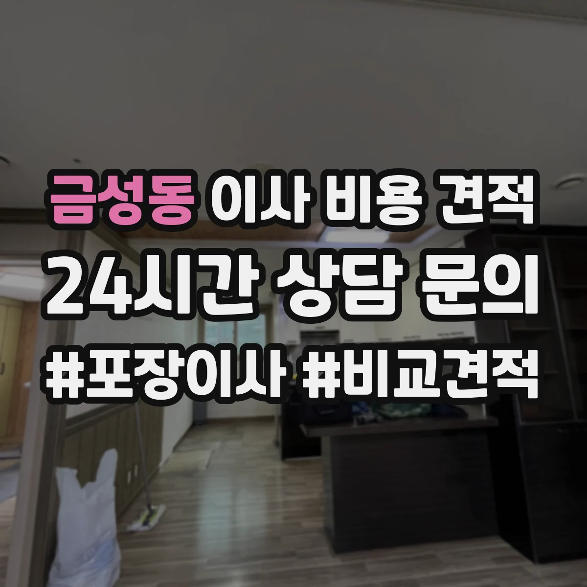 금성동 이사 비용 견적