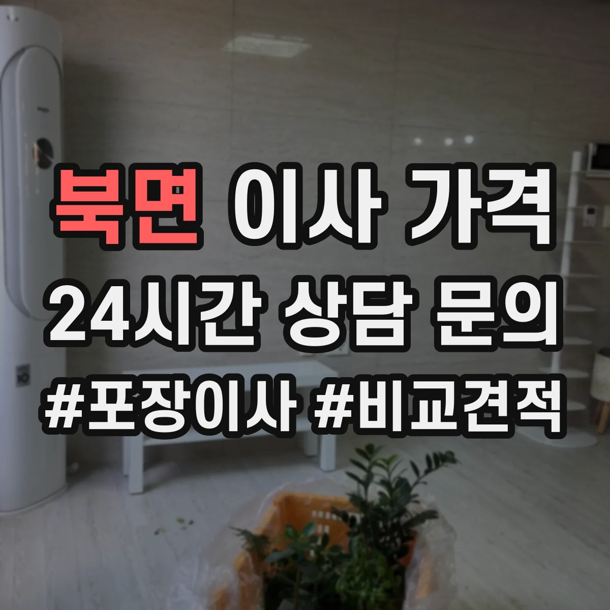 북면 이사 가격