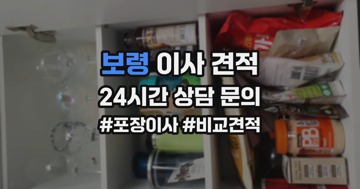 보령 이사 견적