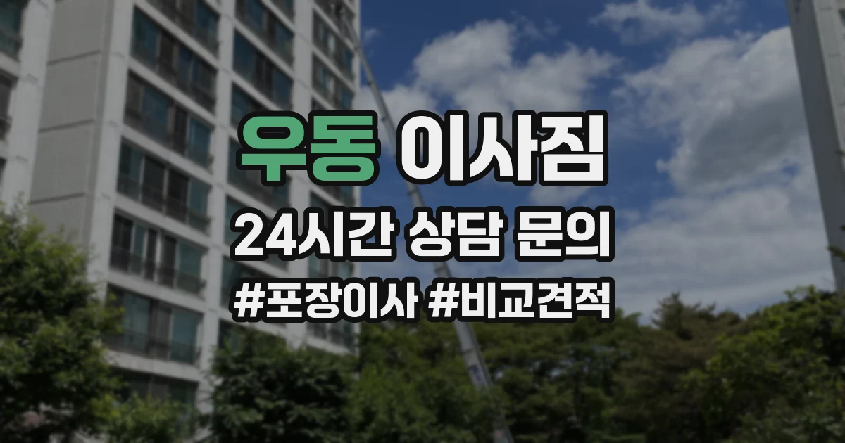 우동 이사짐