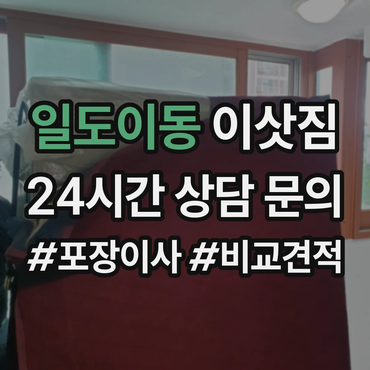 일도이동 이삿짐
