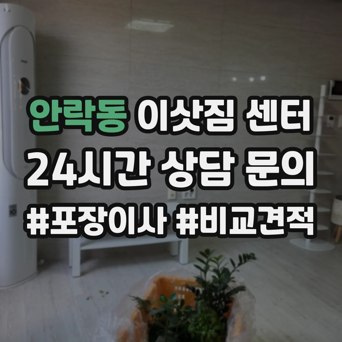 안락동 이삿짐 센터