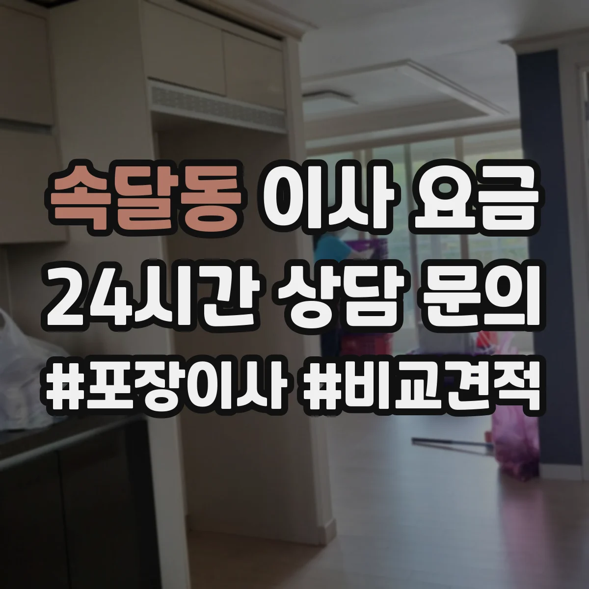 속달동 이사 요금