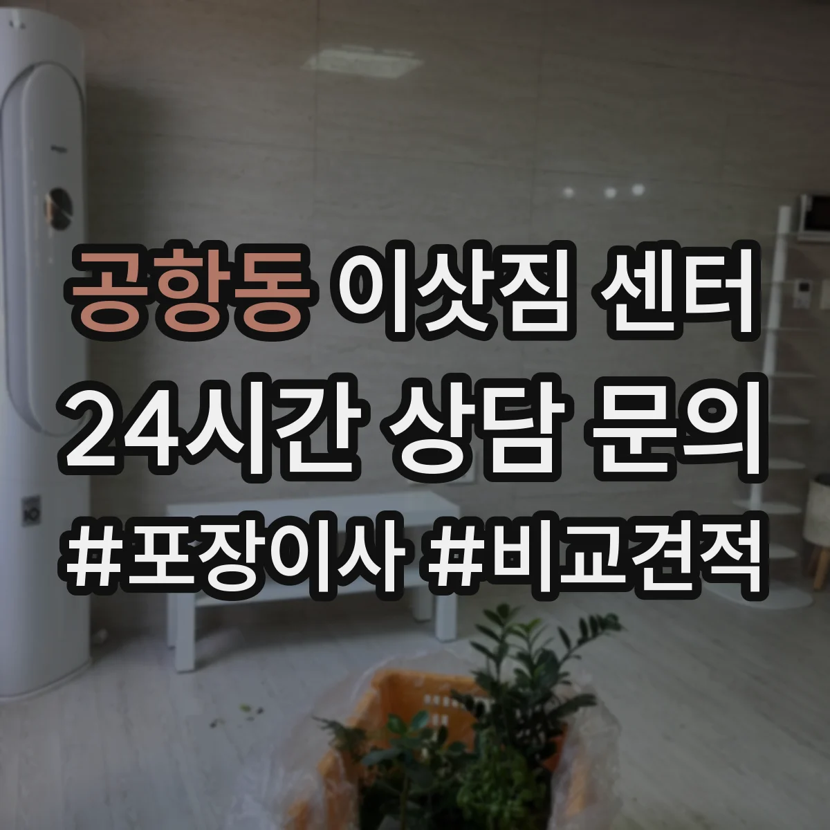 공항동 이삿짐 센터 대형 가전 상하차 동선 점검 포인트