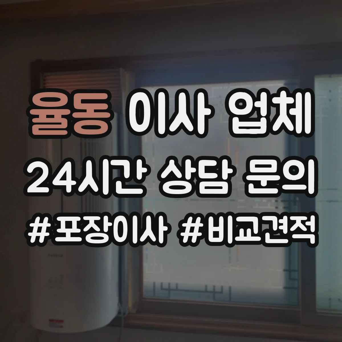 율동 이사 업체