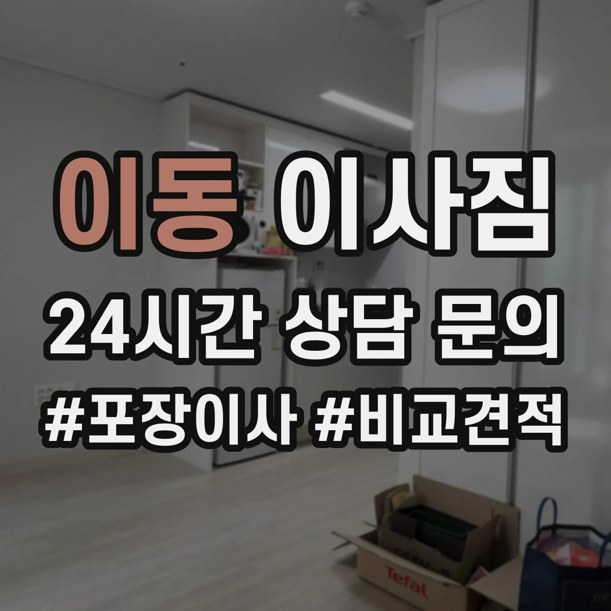 이동 이사짐