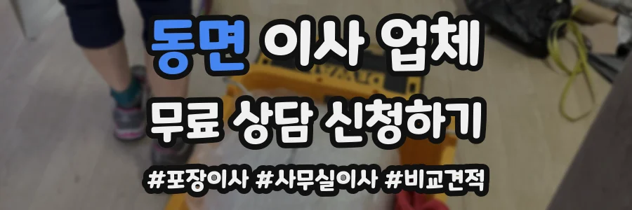 동면 이사 업체
