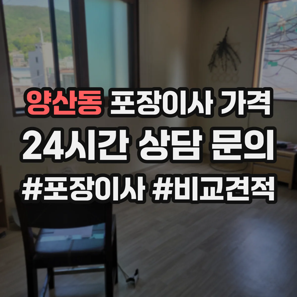 양산동 포장이사 가격