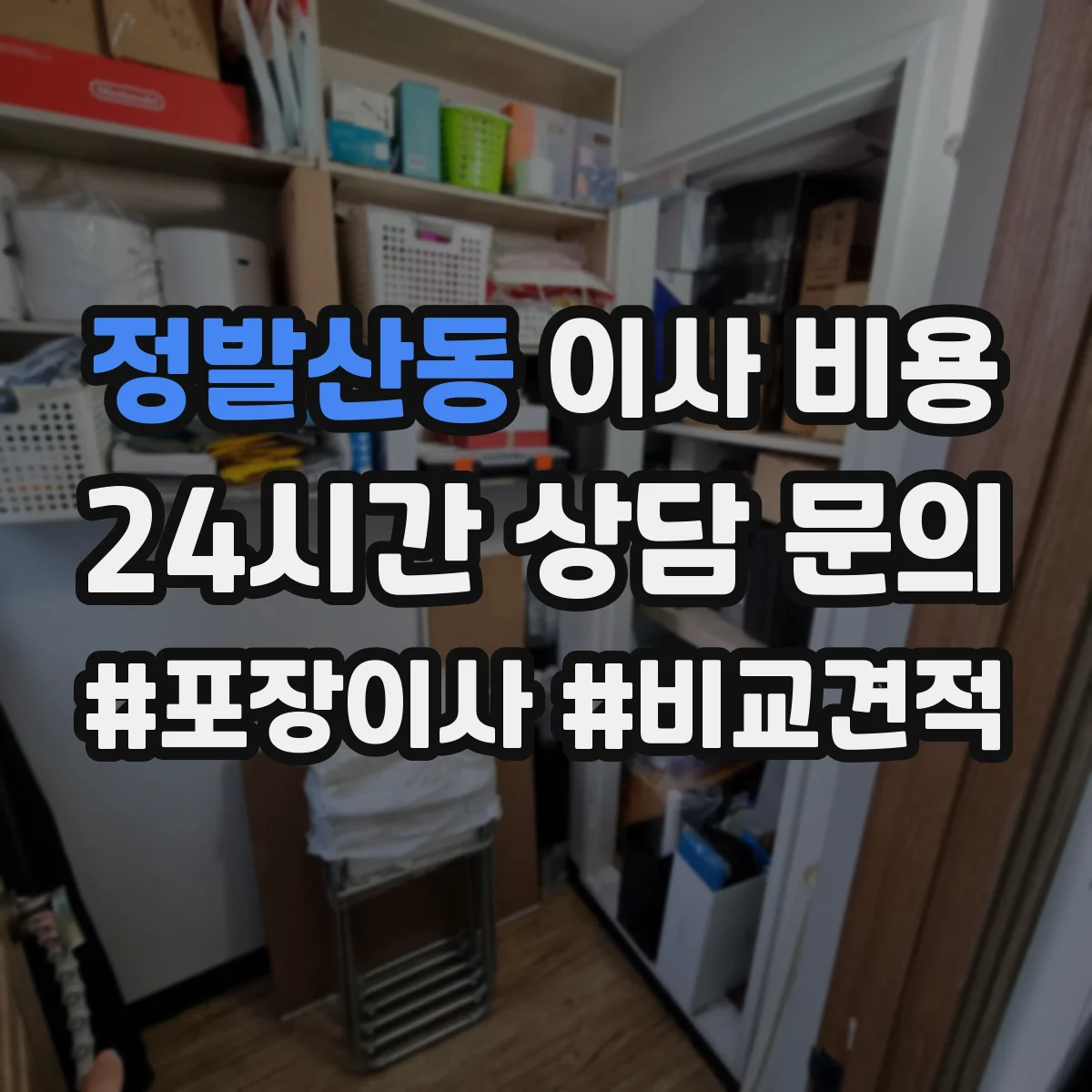 정발산동 이사 비용