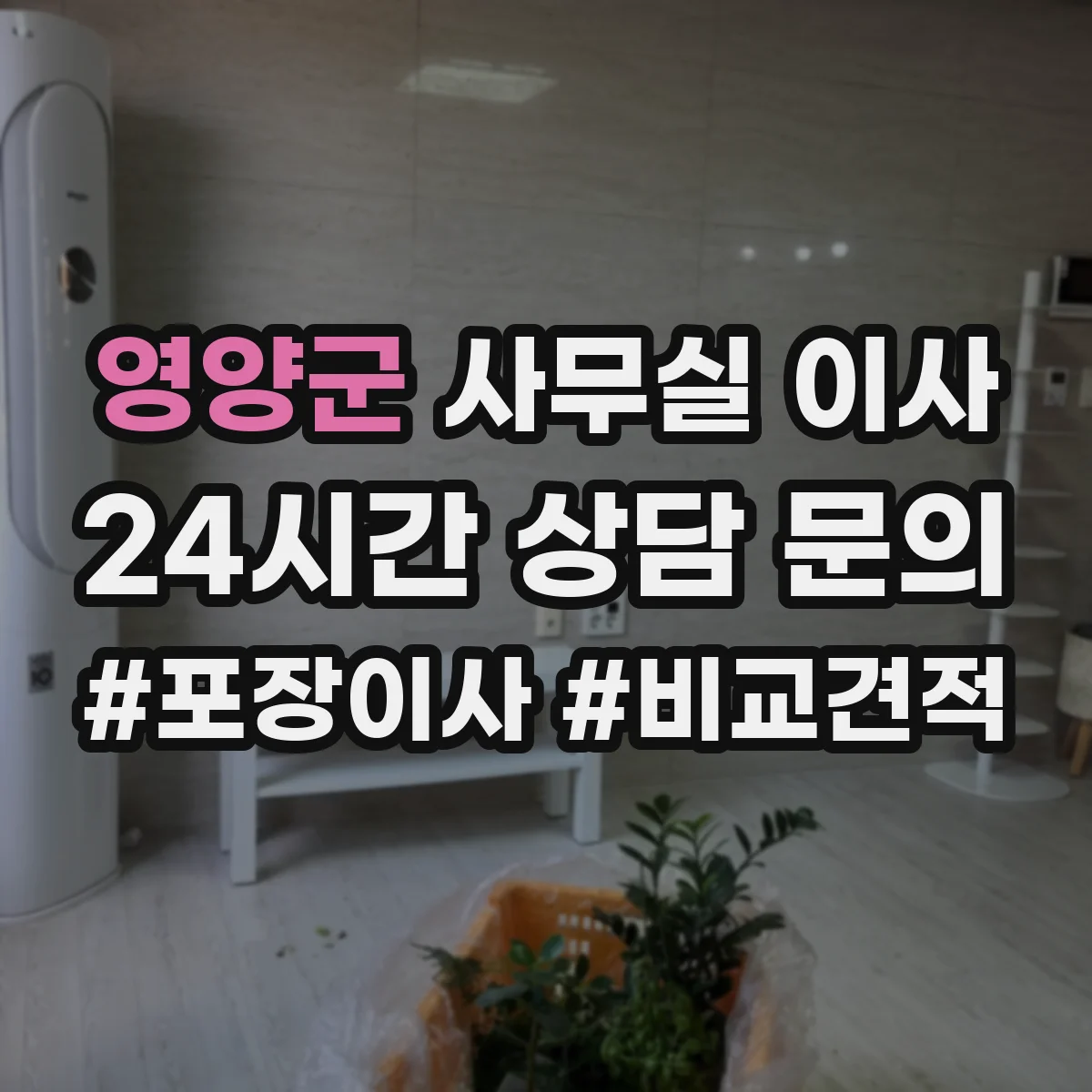 영양군 사무실 이사