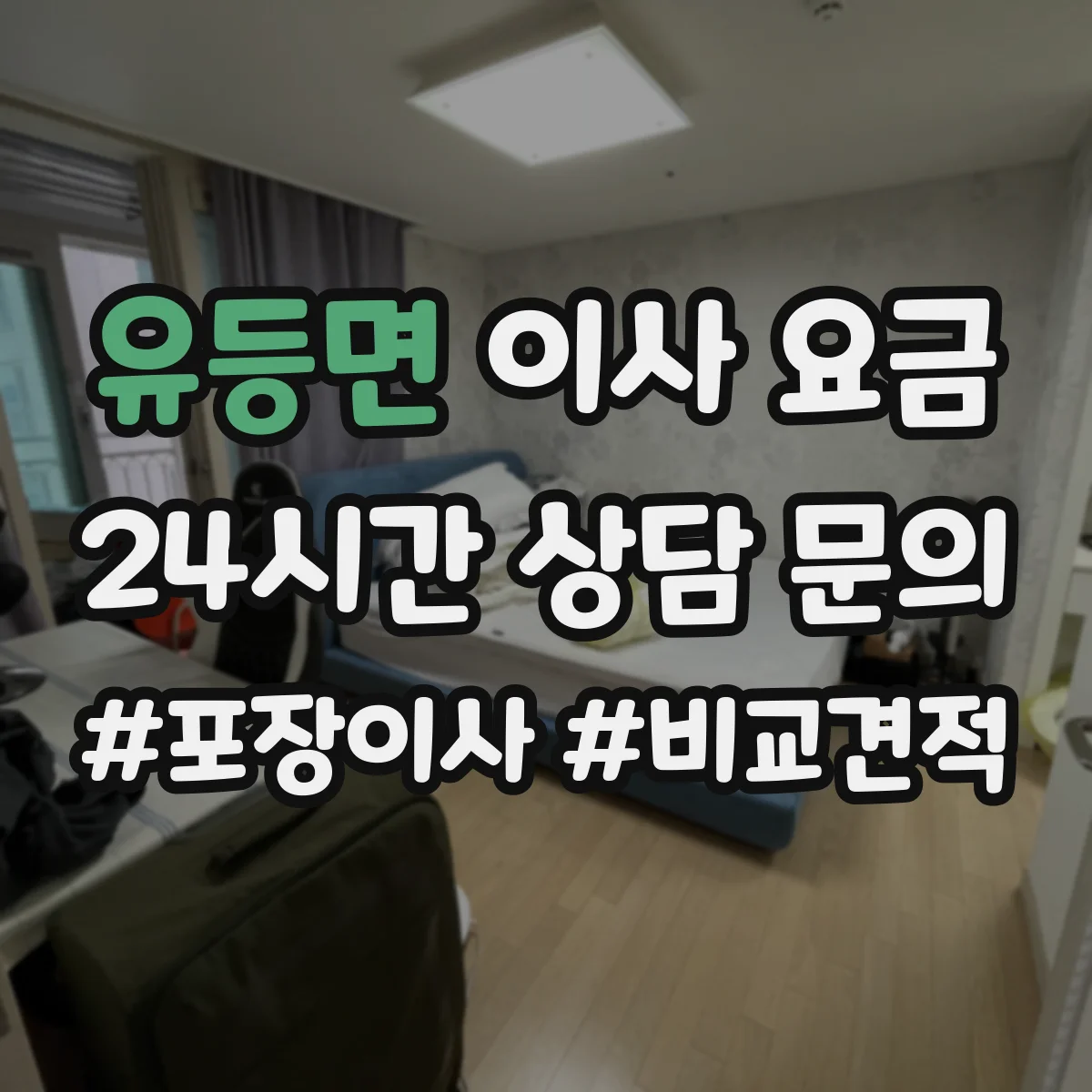 유등면 이사 요금