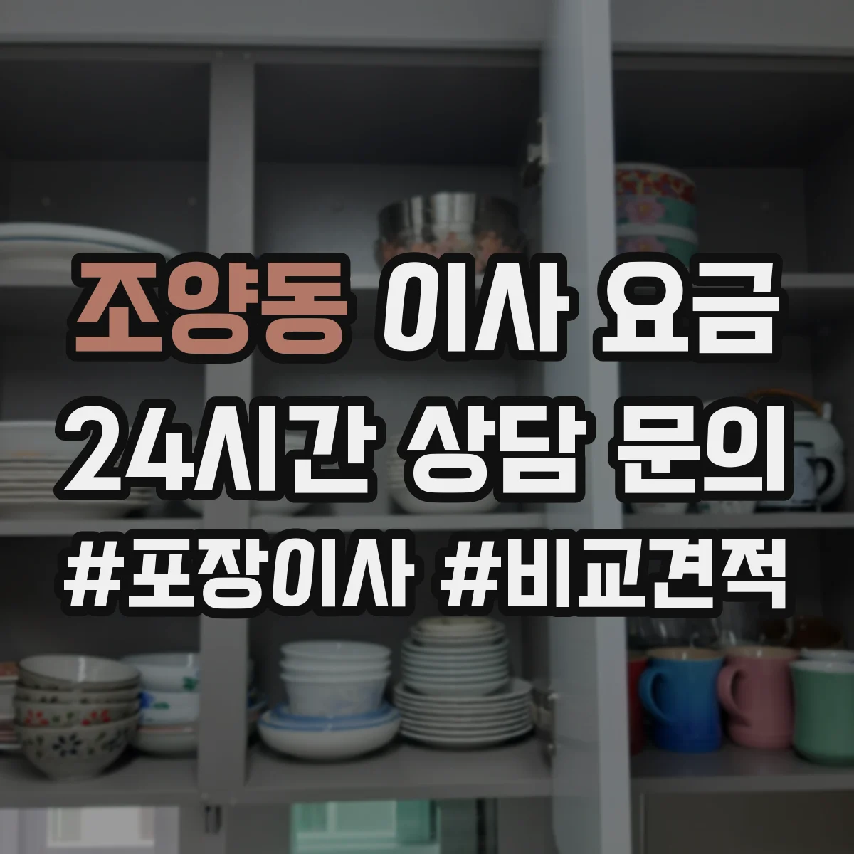 조양동 이사 요금