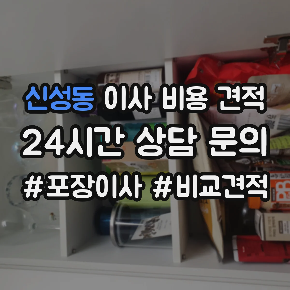 신성동 이사 비용 견적