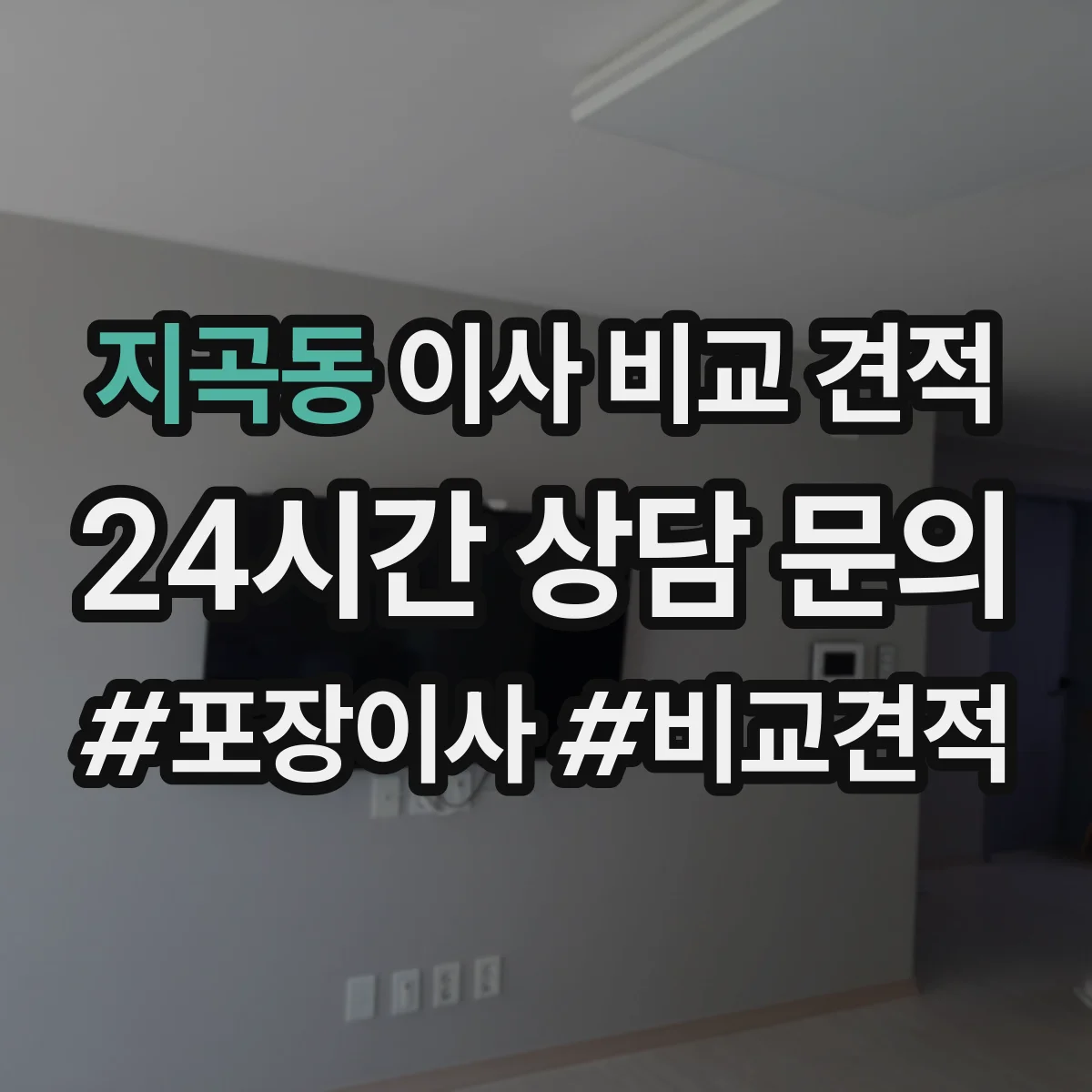 지곡동 이사 비교 견적