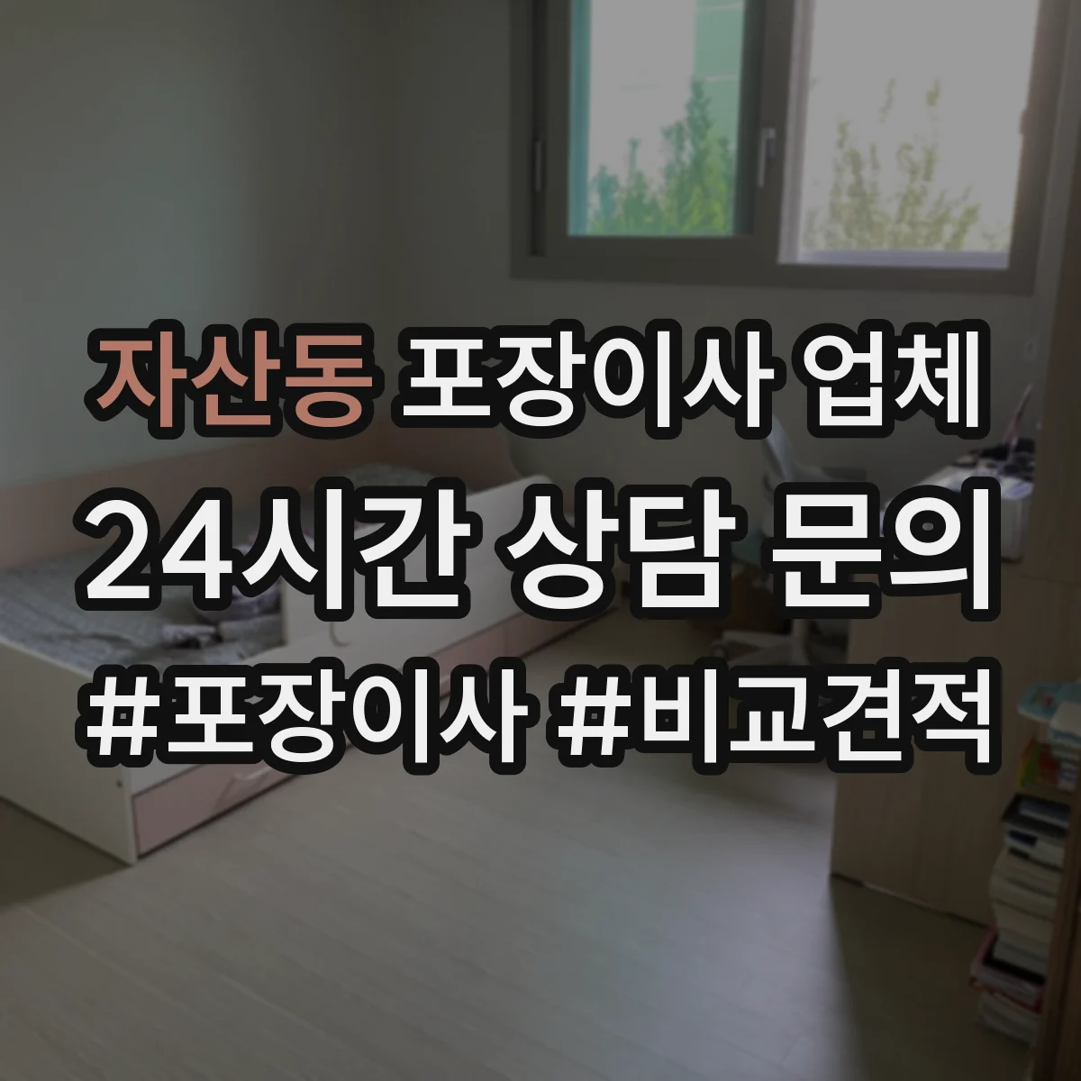 자산동 포장이사 업체