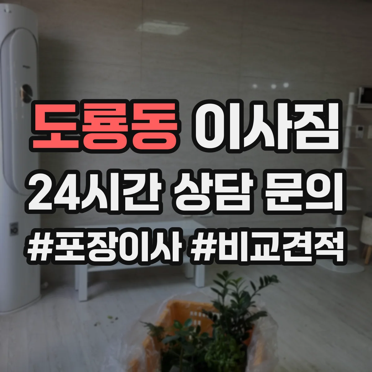 도룡동 이사짐