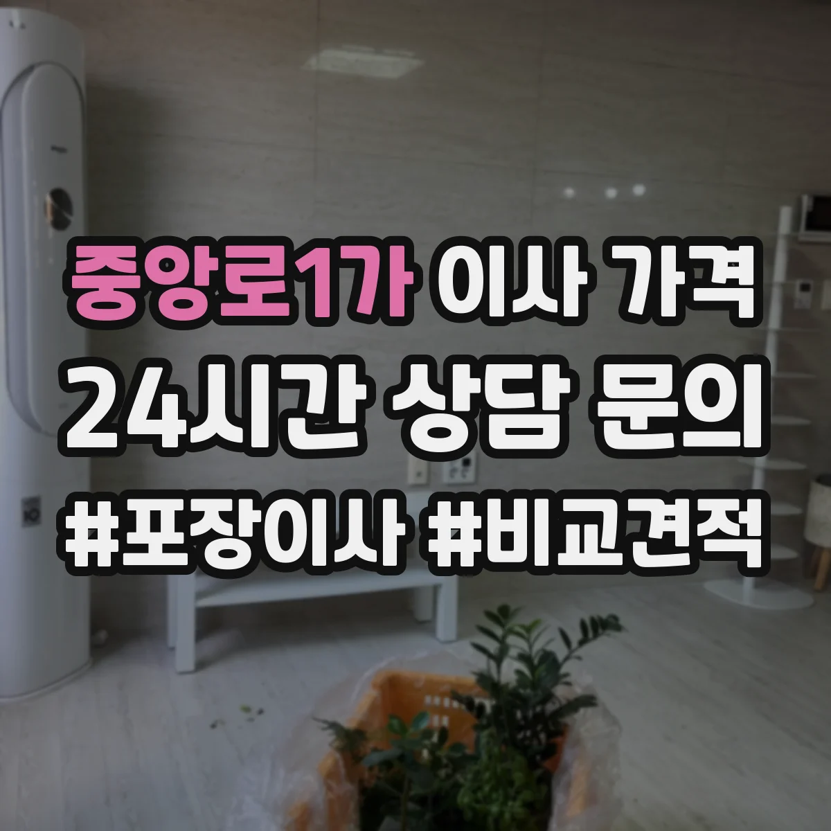 중앙로1가 이사 가격