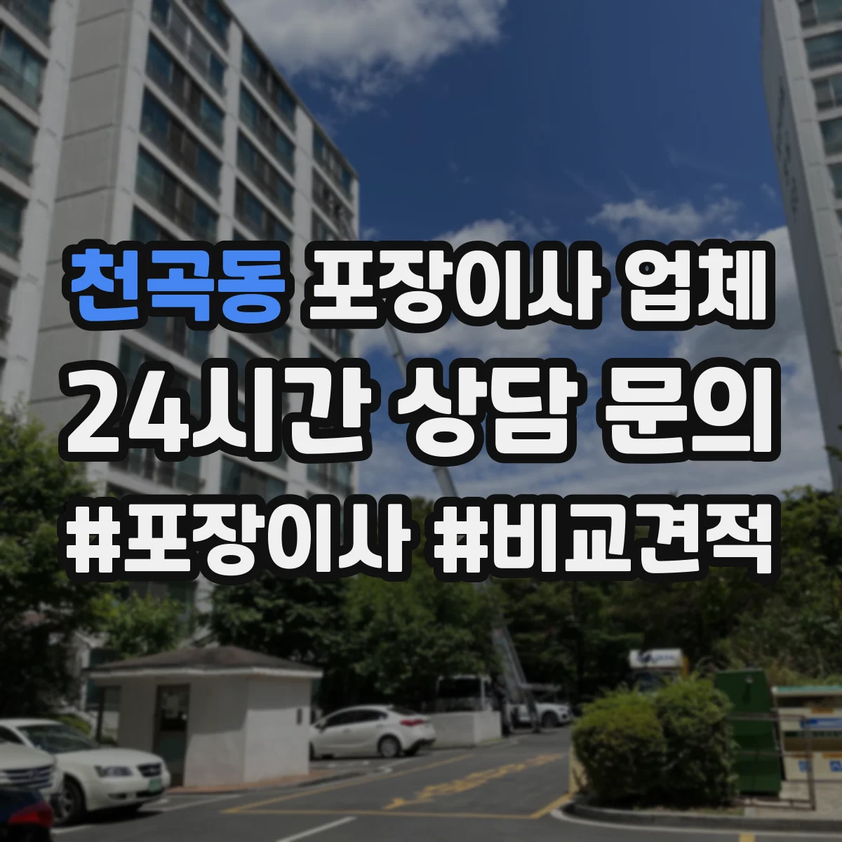 천곡동 포장이사 업체
