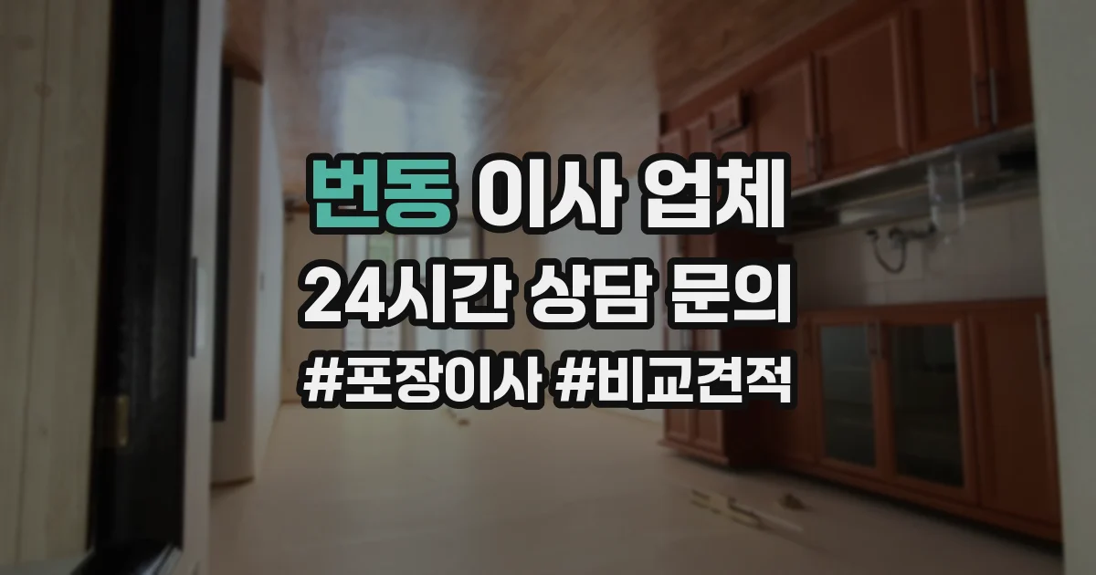 번동 이사 업체