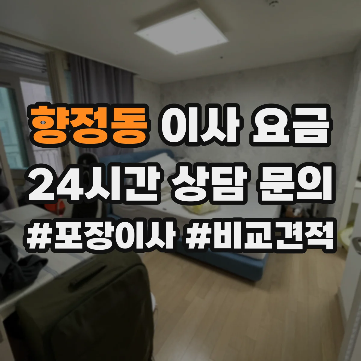 향정동 이사 요금