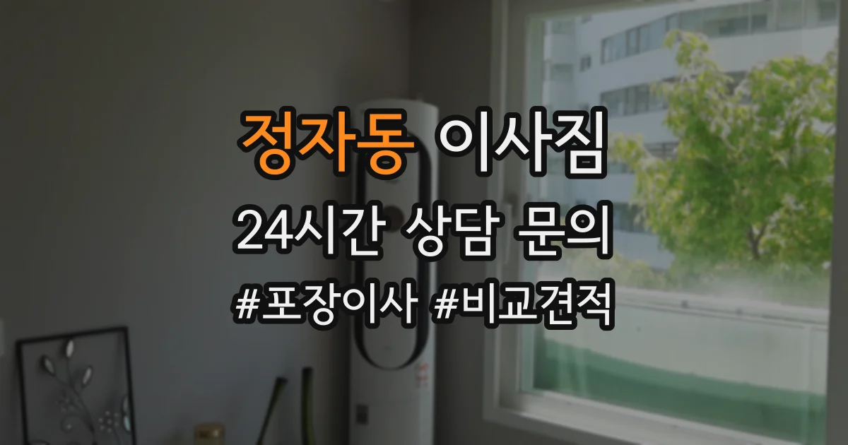 정자동 이사짐