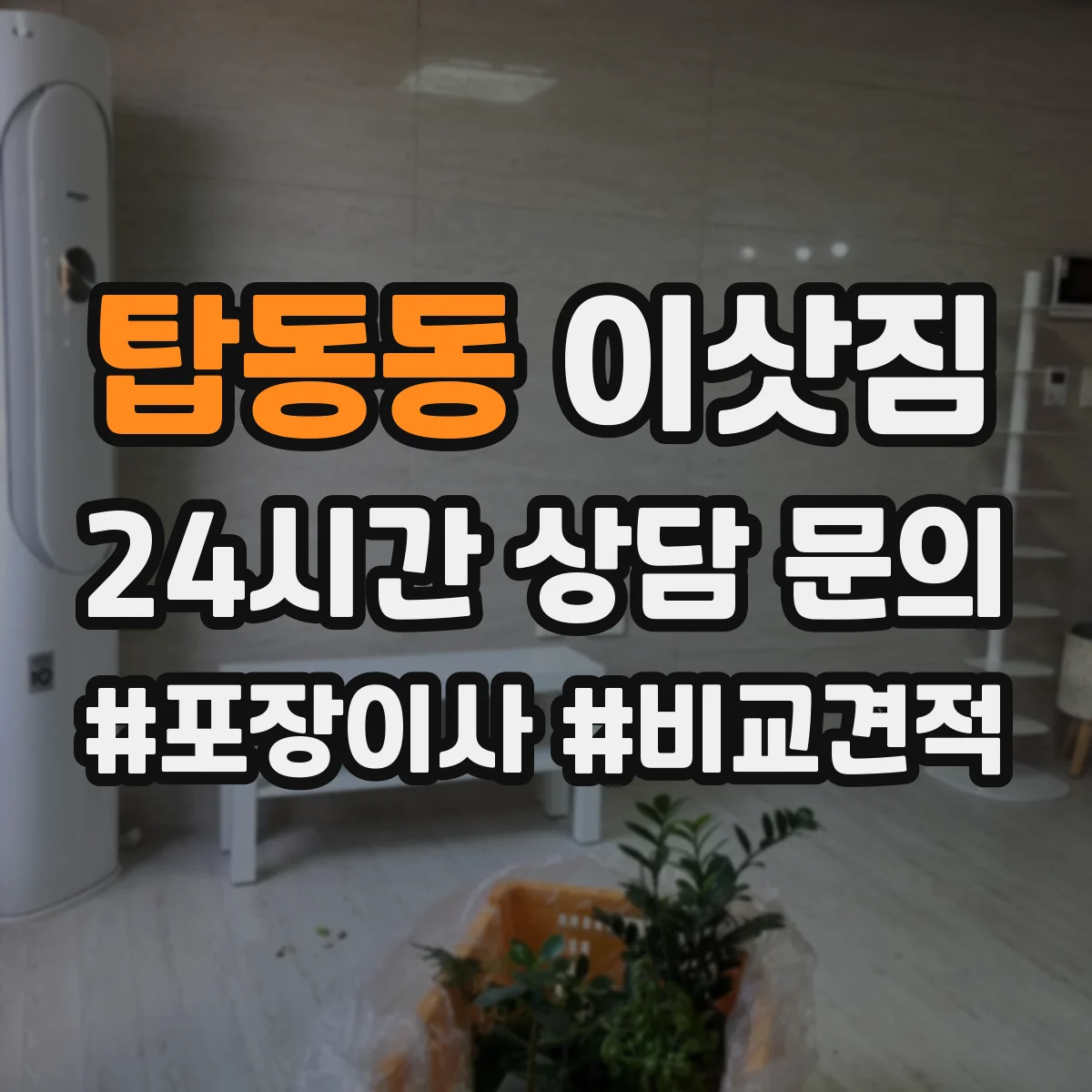 탑동동 이삿짐