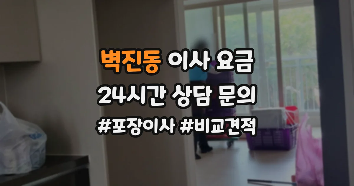 벽진동 이사 요금